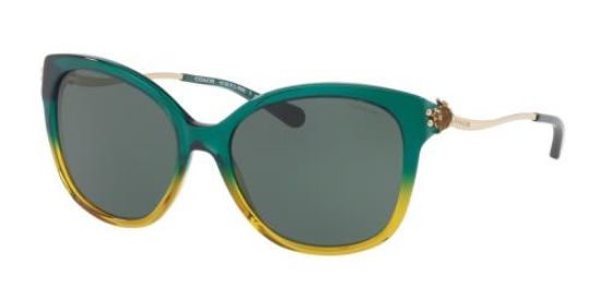 Picture of Coach Sunglasses HC8218