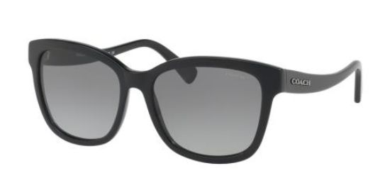 Picture of Coach Sunglasses HC8219