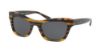 Picture of Coach Sunglasses HC8223