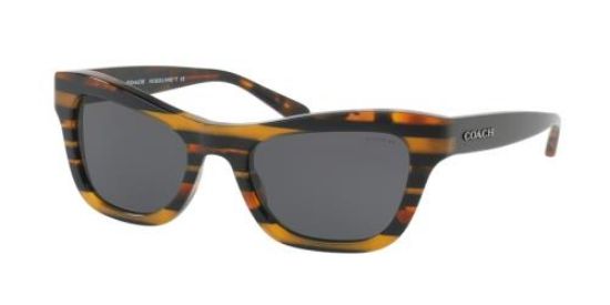 Picture of Coach Sunglasses HC8223
