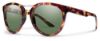 Picture of Smith Sunglasses BRIDGETOWN/S