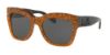 Picture of Coach Sunglasses HC8213