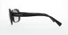 Picture of Coach Sunglasses HC8178 L1591