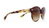Picture of Coach Sunglasses HC8140 L111
