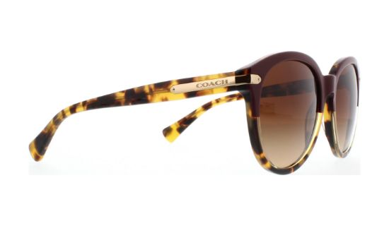 Picture of Coach Sunglasses HC8140 L111