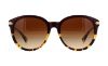 Picture of Coach Sunglasses HC8140 L111