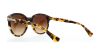 Picture of Coach Sunglasses HC8140 L111