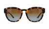 Picture of Tory Burch Sunglasses TY9040