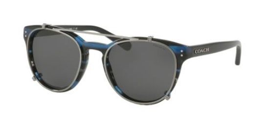 Picture of Coach Sunglasses HC8216