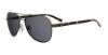 Picture of Hugo Boss Sunglasses 0761/S