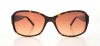 Picture of Calvin Klein Collection Sunglasses CK7820S