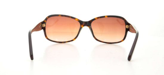 Picture of Calvin Klein Collection Sunglasses CK7820S