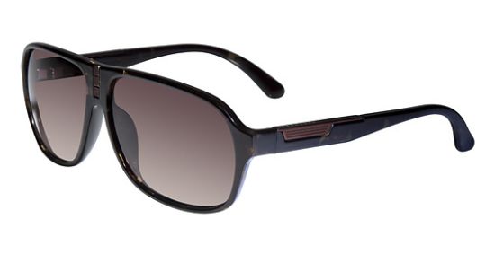 Picture of Sean John Sunglasses SJ545S