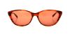 Picture of Converse Sunglasses WHO KNOWS