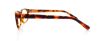 Picture of Polo Eyeglasses PH2091