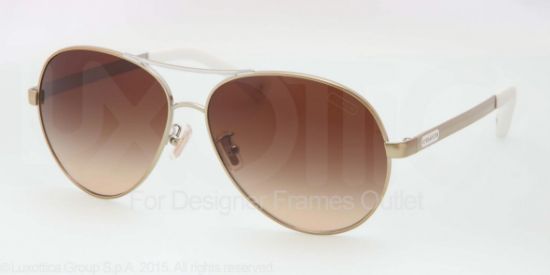 Picture of Coach Sunglasses HC7019