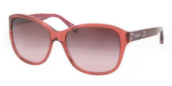 Picture of Coach Sunglasses HC8017
