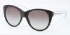Picture of Coach Sunglasses HC8064