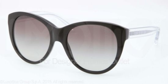 Picture of Coach Sunglasses HC8064