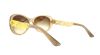 Picture of Dolce & Gabbana Sunglasses DG4213