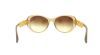 Picture of Dolce & Gabbana Sunglasses DG4213