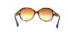 Picture of Coach Sunglasses HC8051
