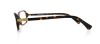Picture of Emporio Armani Eyeglasses EA3009