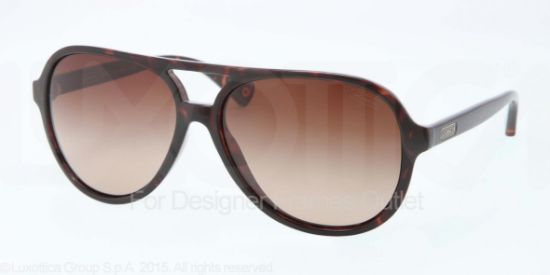 Picture of Coach Sunglasses HC8073