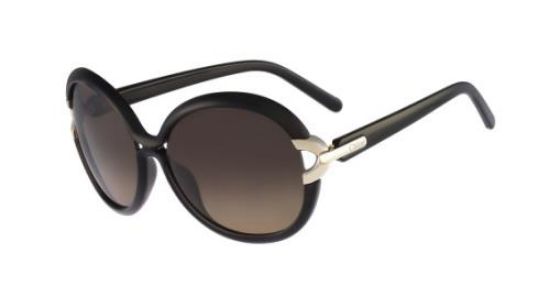 Picture of Chloe Sunglasses CE636S
