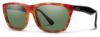 Picture of Smith Sunglasses TIOGA/S