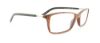 Picture of Polo Eyeglasses PH2101