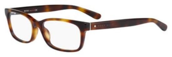 Picture of Hugo Boss Eyeglasses 0790