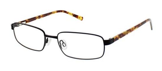 Picture of Red Raven Eyeglasses VANDERBILT