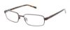 Picture of Red Raven Eyeglasses VANDERBILT