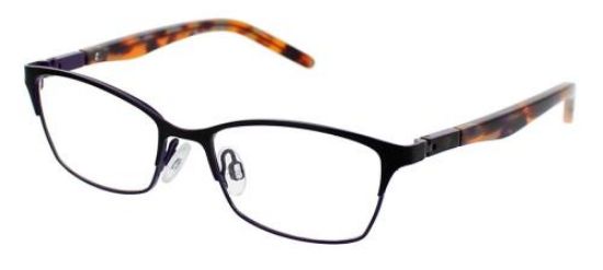 Picture of Ocean Pacific Eyeglasses 856