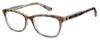 Picture of Juicy Couture Eyeglasses JU 175