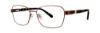 Picture of Destiny Eyeglasses DARCIE