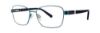 Picture of Destiny Eyeglasses DARCIE