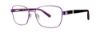 Picture of Destiny Eyeglasses DARCIE