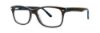 Picture of Destiny Eyeglasses DELRAY