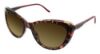 Picture of Blutech Sunglasses ALLEY CAT