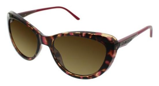 Picture of Blutech Sunglasses ALLEY CAT