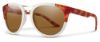 Picture of Smith Sunglasses BRIDGETOWN/S