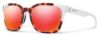Picture of Smith Sunglasses FOUNDER/S