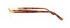 Picture of Catherine Deneuve Eyeglasses CD0318