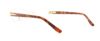 Picture of Catherine Deneuve Eyeglasses CD0318