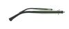 Picture of Emporio Armani Eyeglasses EA1013