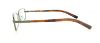 Picture of Polo Eyeglasses PH1124