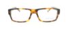 Picture of Polo Eyeglasses PH2085