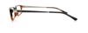 Picture of Polo Eyeglasses PH2076